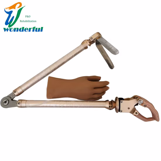 Prosthetic Components Myoelectric Artificial Limbs Hand