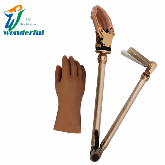 Prosthetic Components Myoelectric Artificial Limbs Hand