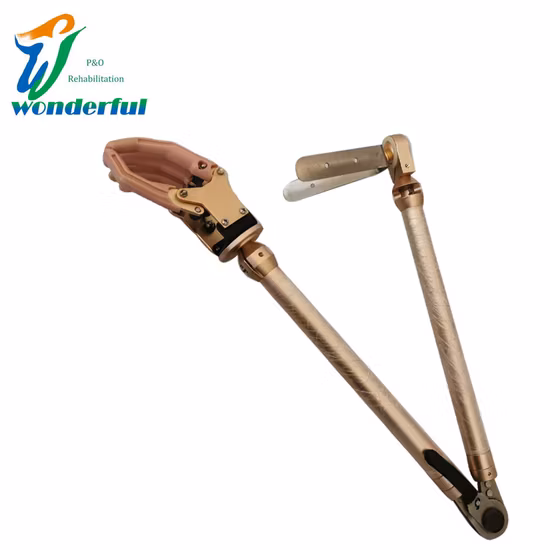 Prosthetic Components Myoelectric Artificial Limbs Hand