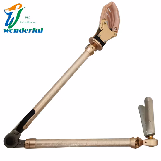 Prosthetic Components Myoelectric Artificial Limbs Hand