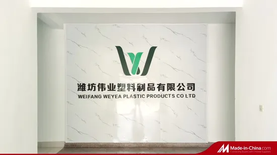 Customized Plastic PE Apron with Sleeveless