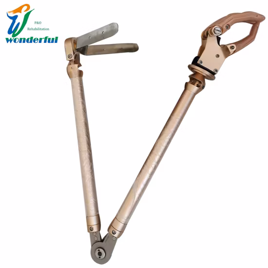 Prosthetic Components Myoelectric Artificial Limbs Hand